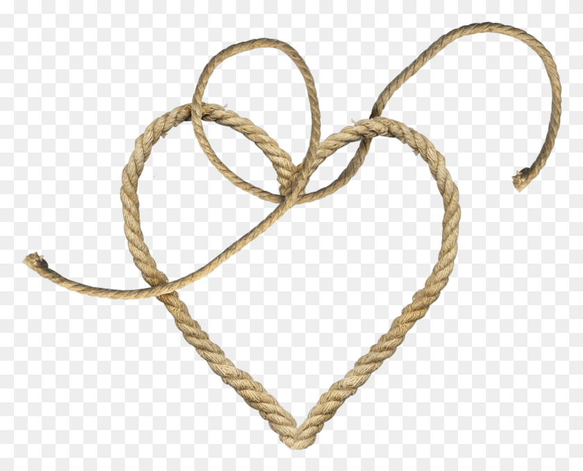 1145x910 Rope Heart Transparent Background, Snake, Reptile, Animal HD PNG Download