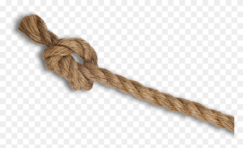 1250x725 Rope Pngs 1253802 Rope With Knot, Bird, Animal HD PNG Download