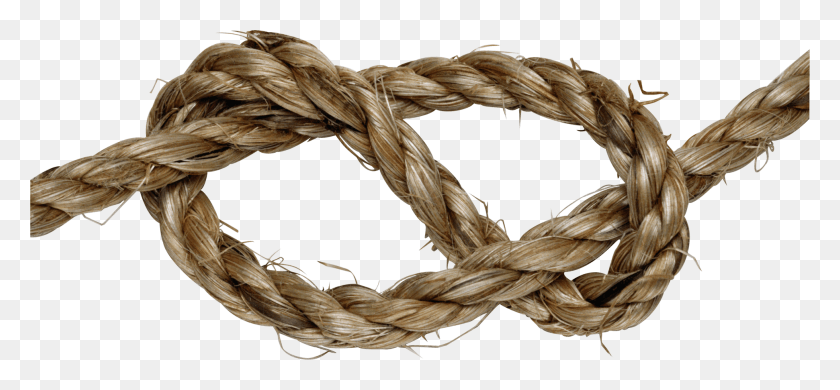 1941x822 Rope Rope Knot Transparent Background, Bird, Animal HD PNG Download