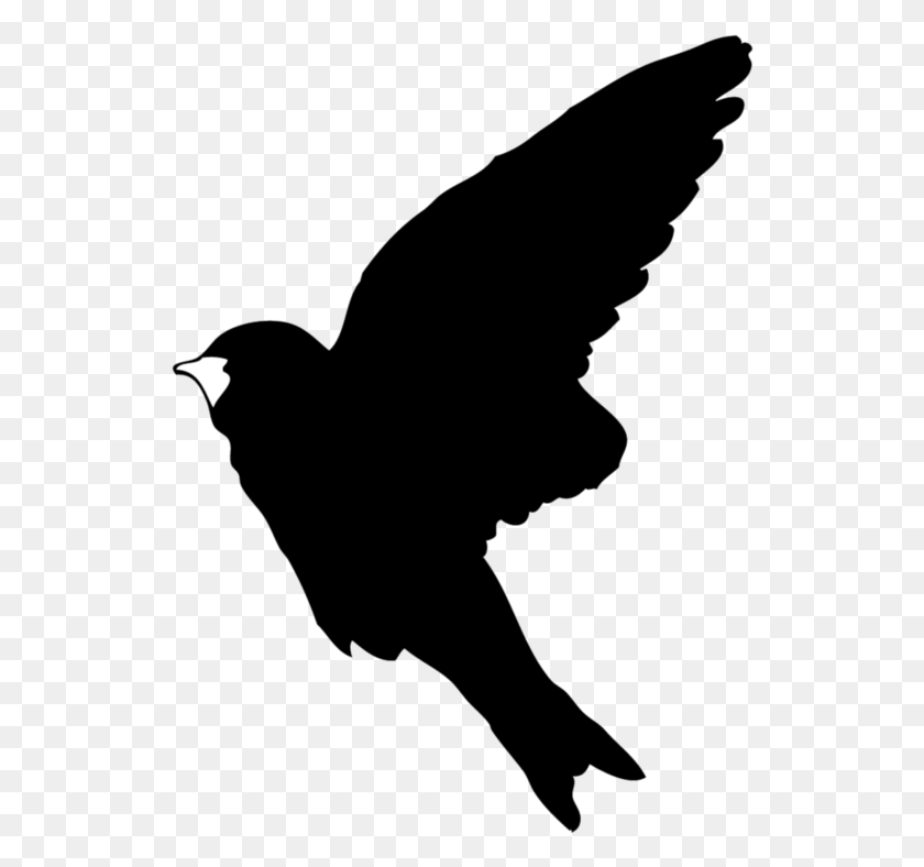 530x728 Rorschach Vaux S Swift, Outdoors, Nature HD PNG Download