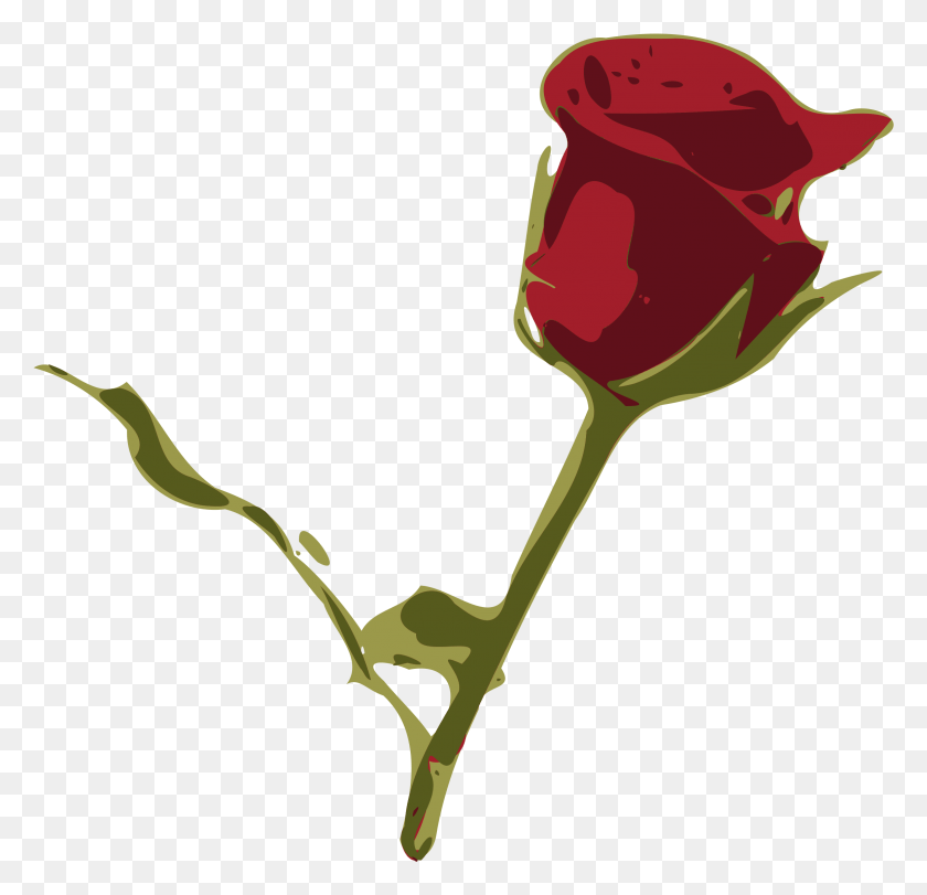 2315x2231 Rosa, Plant, Rose, Flower HD PNG Download