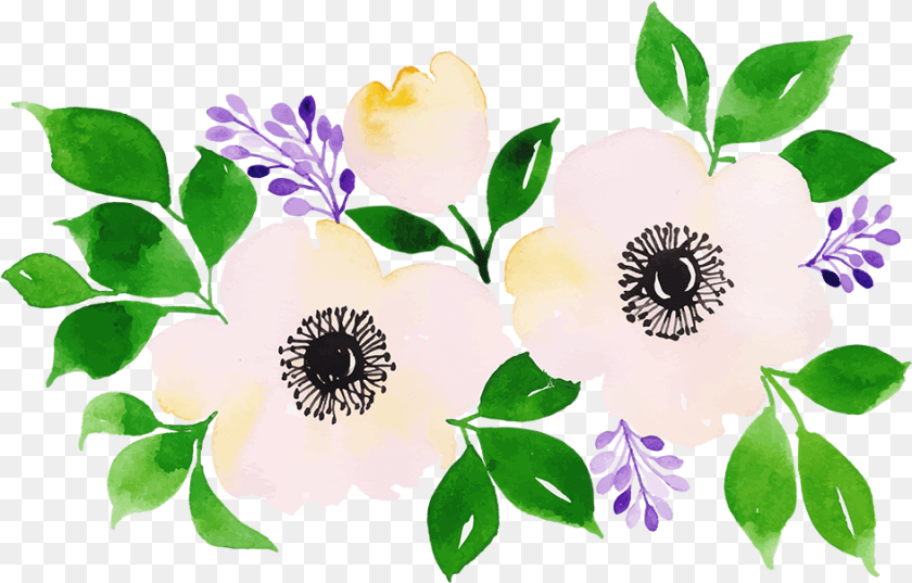 944x603 Rosa Glauca, Anemone, Plant, Flower, Floral Design Transparent PNG