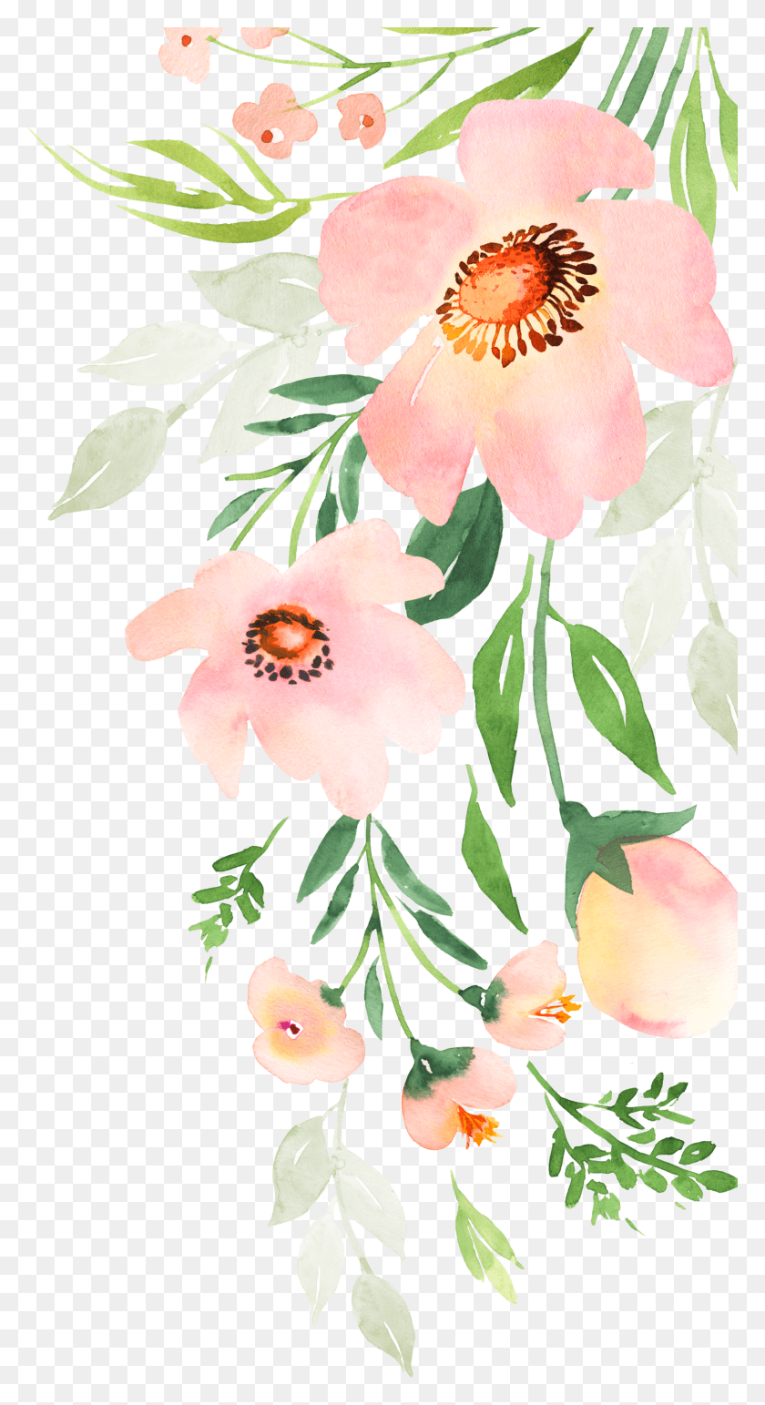 1577x3000 Rosa Rubiginosa, Plant, Flower, Blossom HD PNG Download