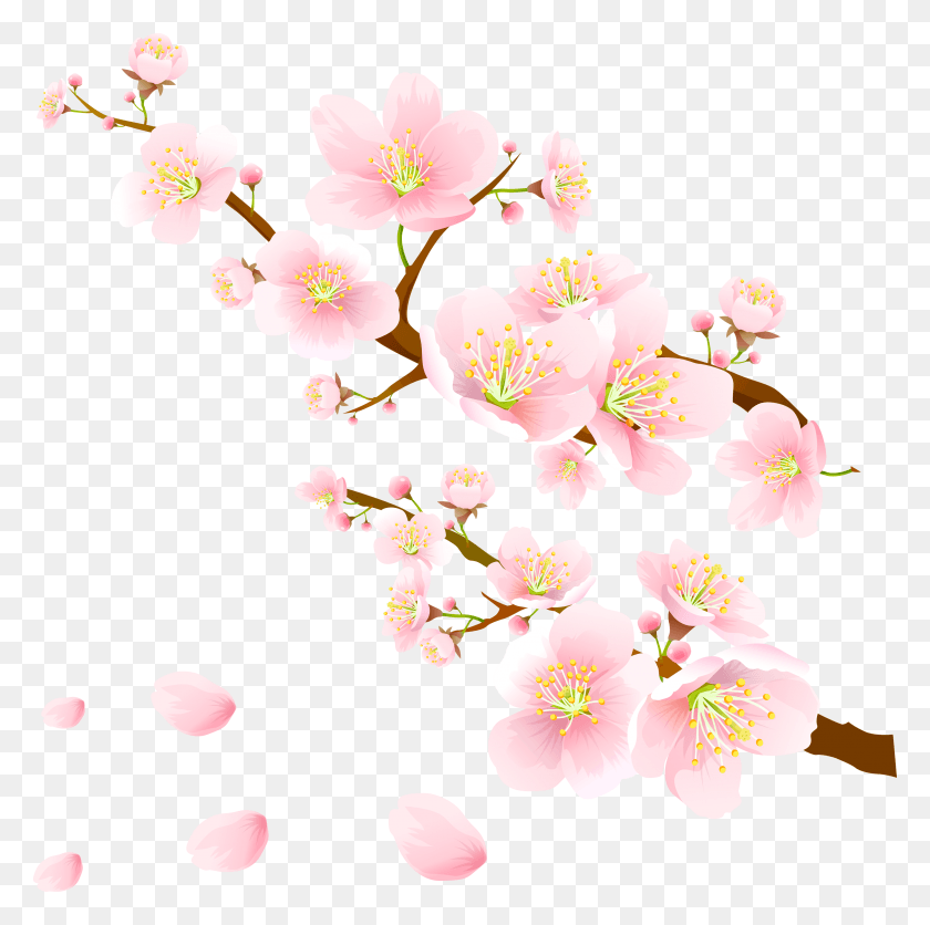 2900x2887 Роза Рубигиноза, Растение, Цветок, Цветение Hd Png Скачать