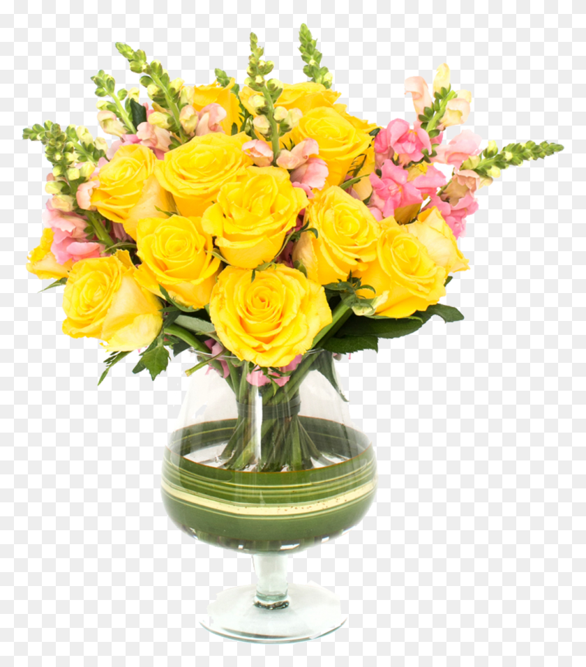 1038x1193 Розас Е Бока Де Лео, Растение, Цветок, Цветение Hd Png Скачать