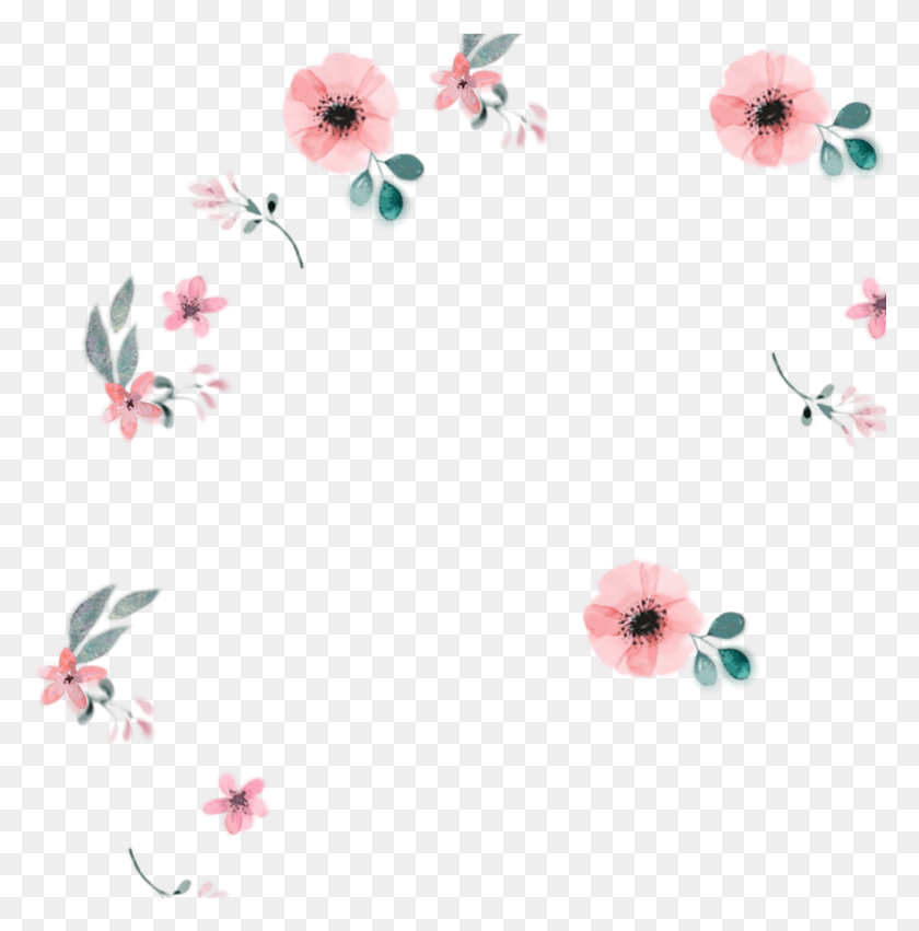 1010x1025 Descargar Png Rosas Flowes Tumblr Overlay Pastel, Hibiscus, Flor, Planta Hd Png
