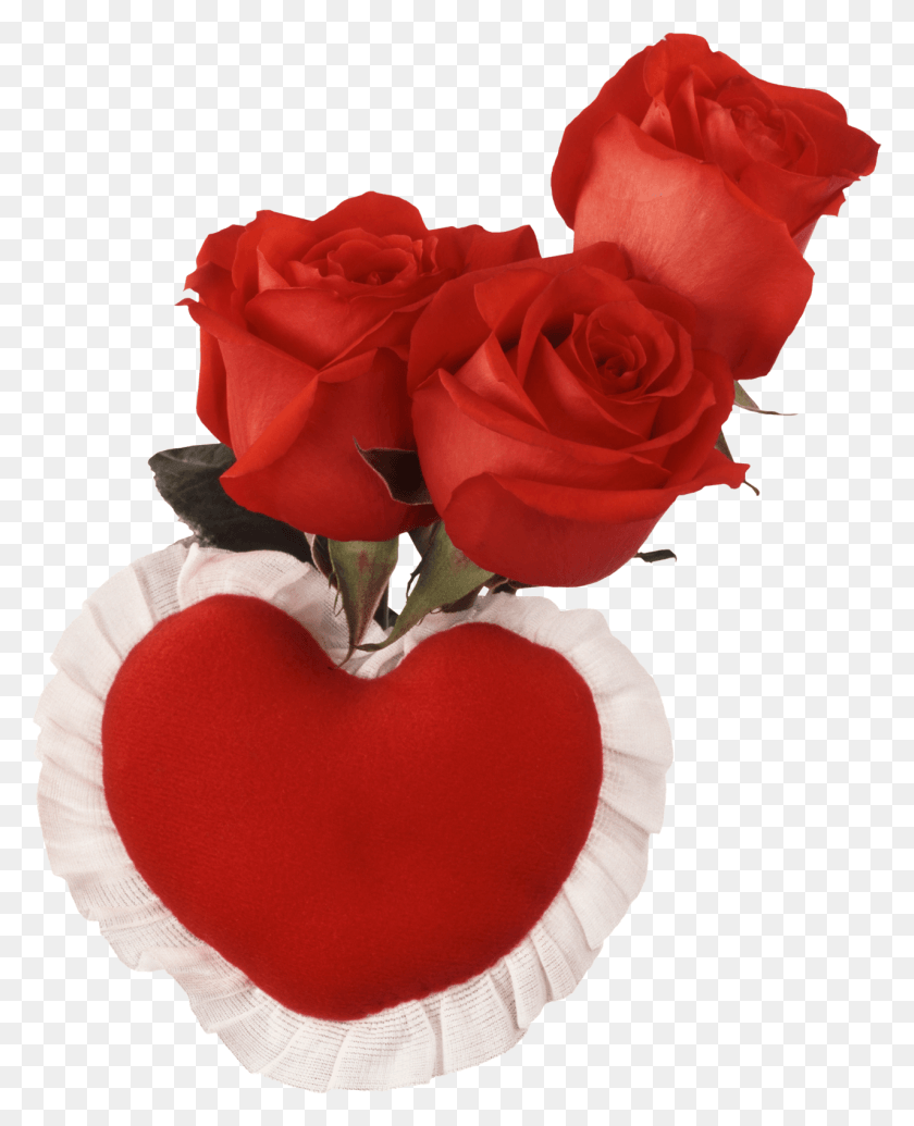 Розы в сердце