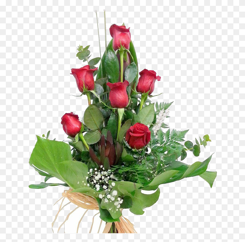 648x769 Роза Рохас Садовые Розы, Растение, Цветок, Цветение Hd Png Скачать