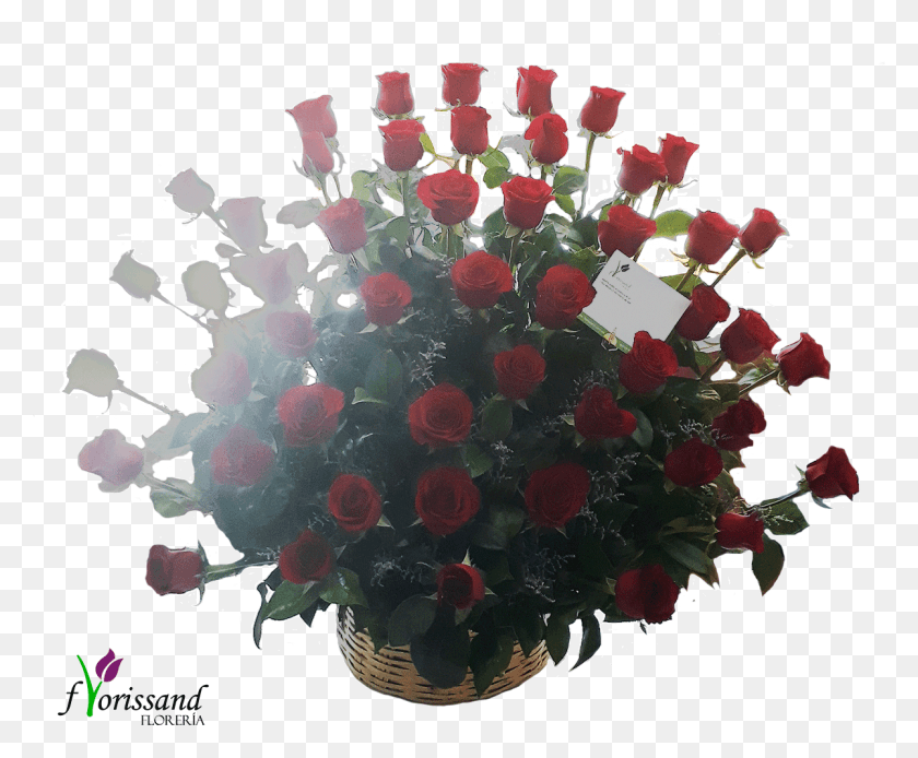 1201x977 Rosas Rojas Garden Roses, Graphics, Ornament HD PNG Download