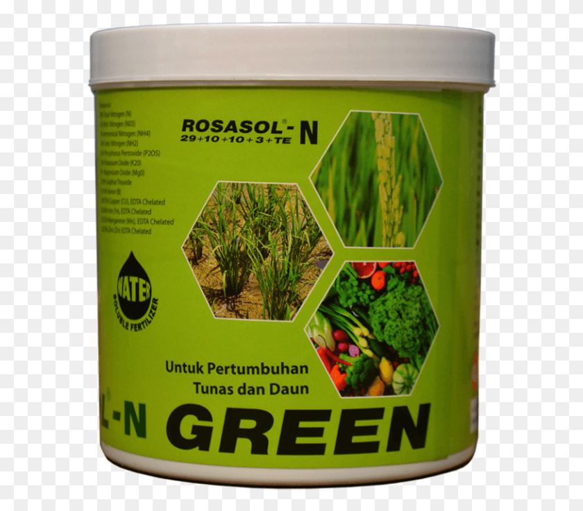 592x677 Rosasol N Tung Ting Tea, Plant, Tin, Can HD PNG Download