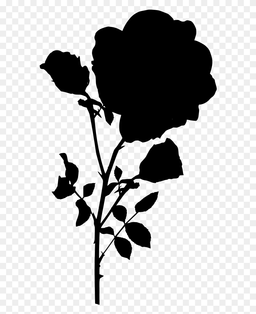 584x967 Rose, Gray, World Of Warcraft HD PNG Download