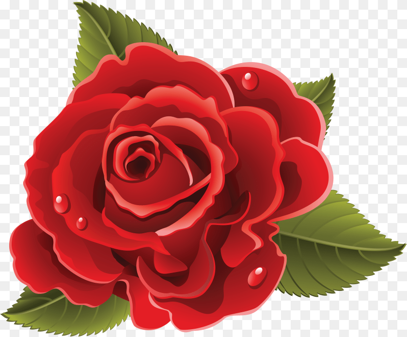 Rose, Flower, Plant, Dynamite, Weapon Clipart PNG