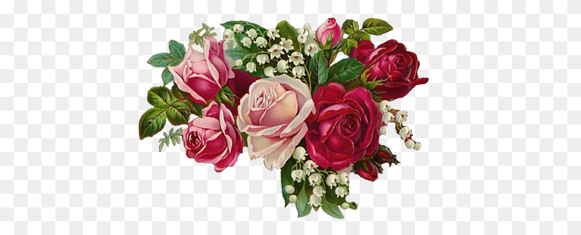 Rose Flower, Flower Arrangement, Flower Bouquet, Plant Transparent PNG