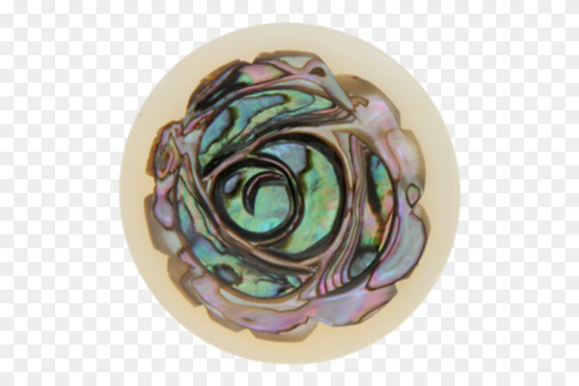 500x500 Rose Abalone Shell Insignia 33 Мм Круг, Аксессуары, Растение, Шлем Hd Png Скачать