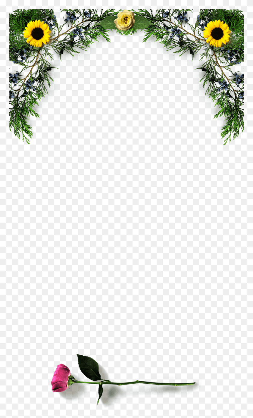 1081x1841 Роза И Подсолнухи Рождественская Елка, Растение, Дерево, Лист Hd Png Скачать