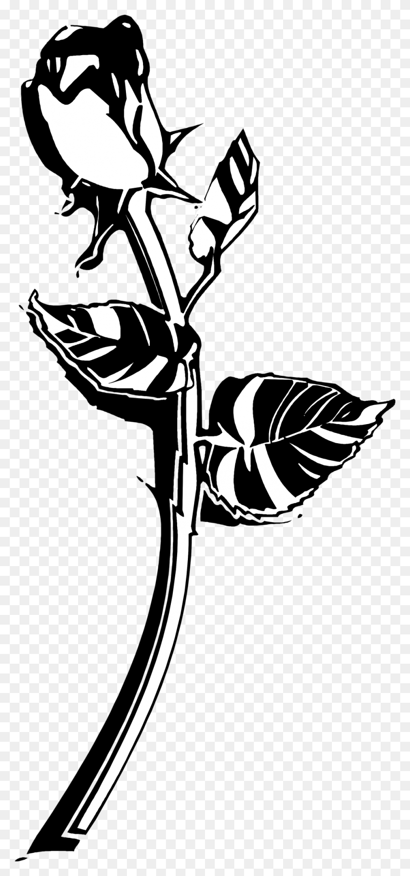 958x2132 Роза Черно-Белые Розы Картинки Черно-Белые Розы Клипарт Черно-Белые, Трафарет, Растение, Цветок Hd Png Скачать