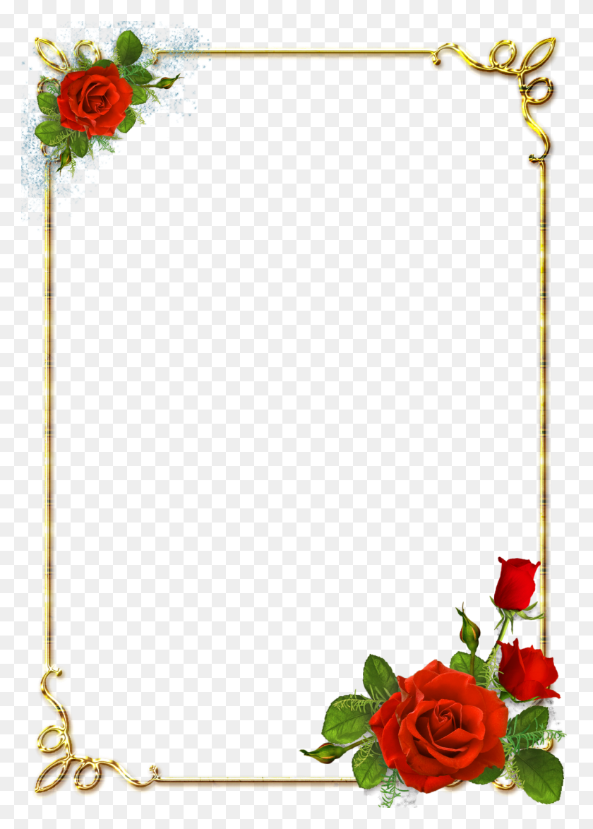 1120x1600 Rose Border Design Flower Rose Border Design, Plant, Blossom, Vase Descargar Hd Png
