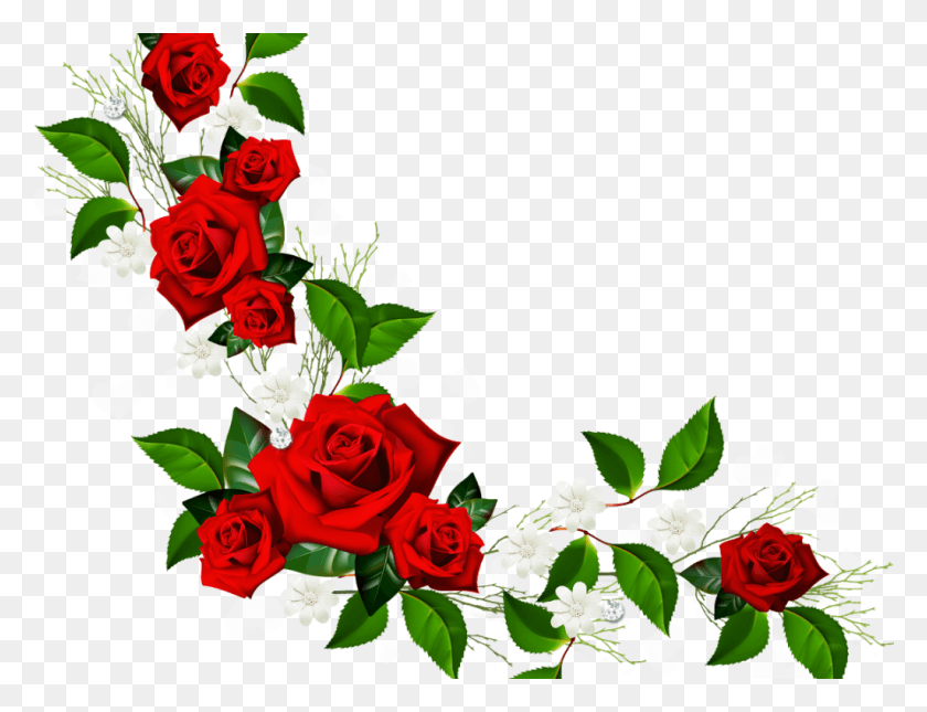 1024x768 Rose Border Flower, Plant, Blossom, Floral Design Descargar Hd Png