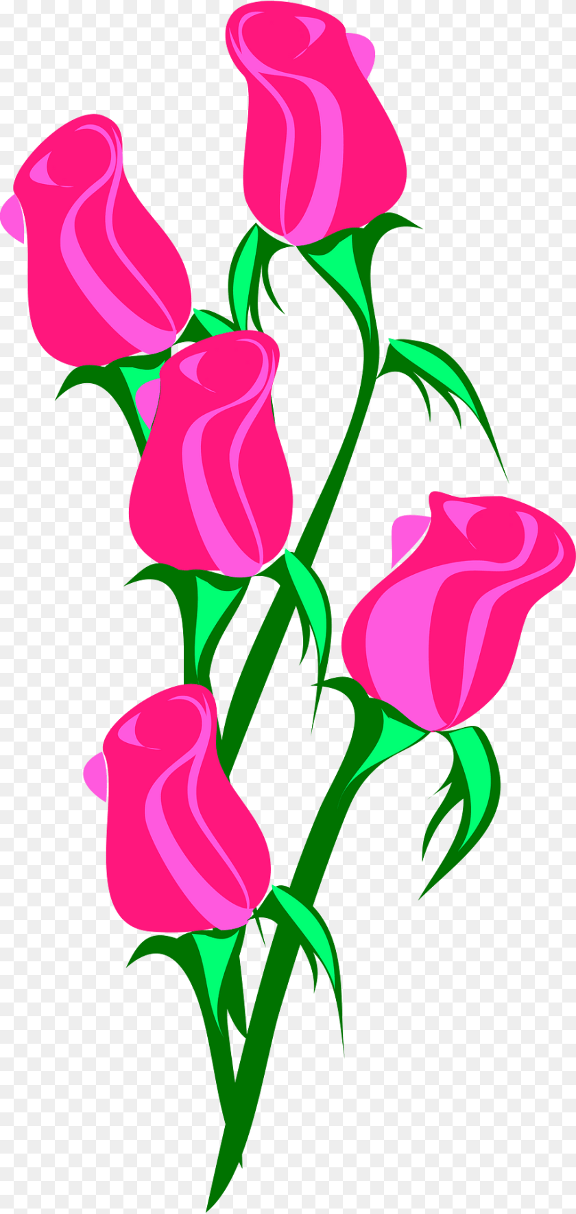 Rose Clipart, Art, Floral Design, Flower, Graphics Transparent PNG