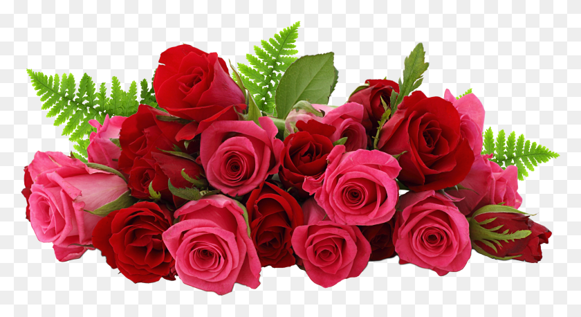 3582x1831 Rosa Clipart Transparente 30 Imágenes Flores Rosa Roja Hd Png Descargar