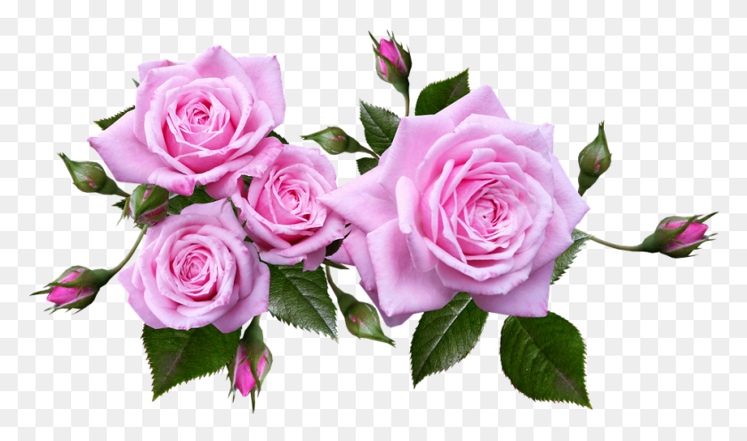 941x527 Роза Цветочная Композиция Растение Цветочная Композиция Розы, Роза, Цветение, Цветочная Композиция Hd Png Скачать