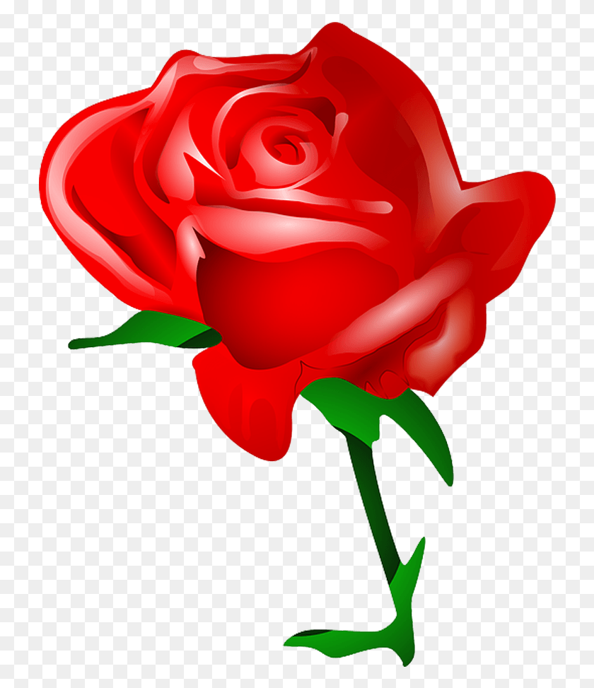 732x913 Descargar Png Flor De Rosa Amor Romántico Día De San Valentín Rosas Clipart, Rosa, Flor, Planta Hd Png