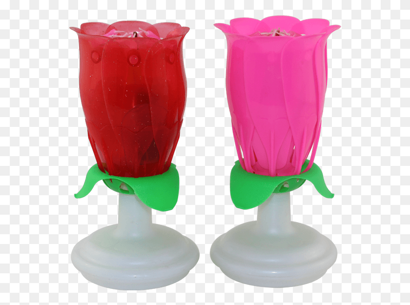 559x565 Rose Flower Music Birthday Candlebirthday Candleround Flowerpot, Glass, Goblet, Juice HD PNG Download