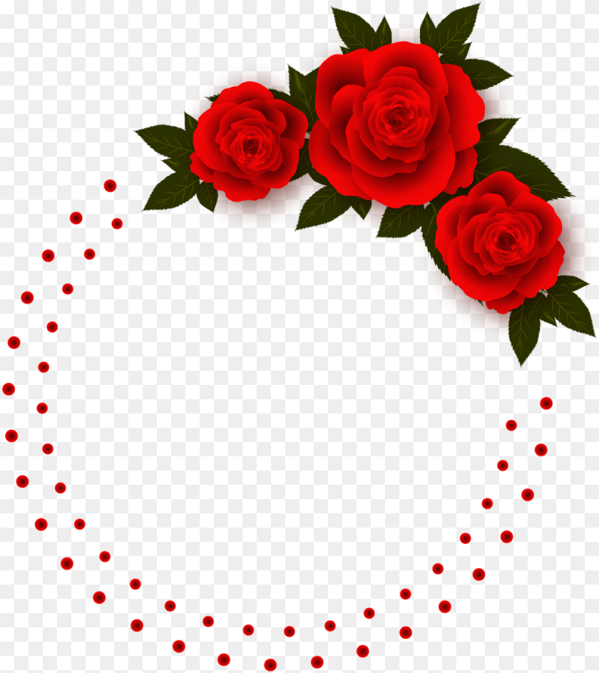 1034x1162 Rose Flowers Frame Photo Red Rose Flower Frame, Plant, Pattern Clipart PNG