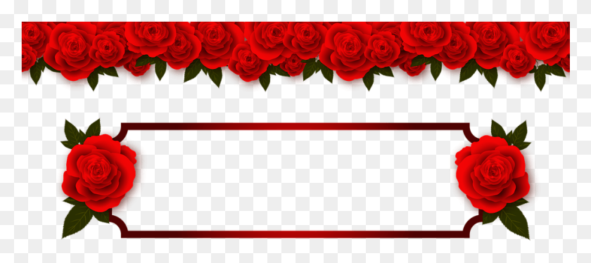 961x388 Rose Frame 399319 Good Morning To Special Person, Flower, Plant, Blossom HD PNG Download