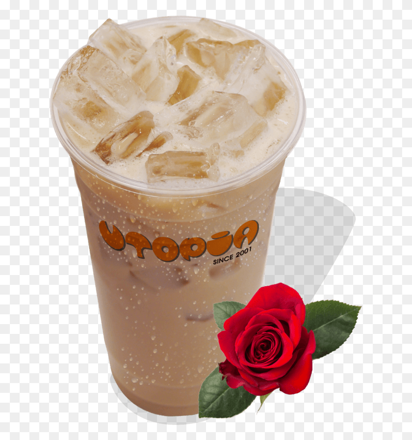 639x836 Rose Milk Tea Garden Roses, Juice, Beverage, Drink HD PNG Download