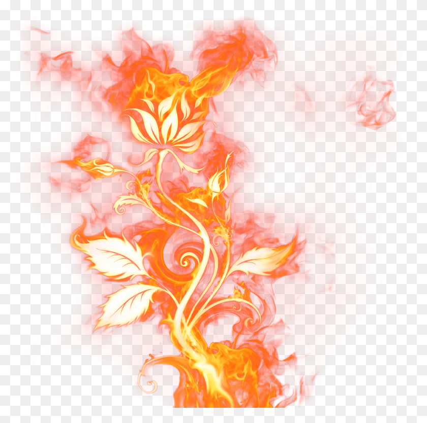 919x913 Rose On Fire, Mountain, Outdoors, Nature HD PNG Download