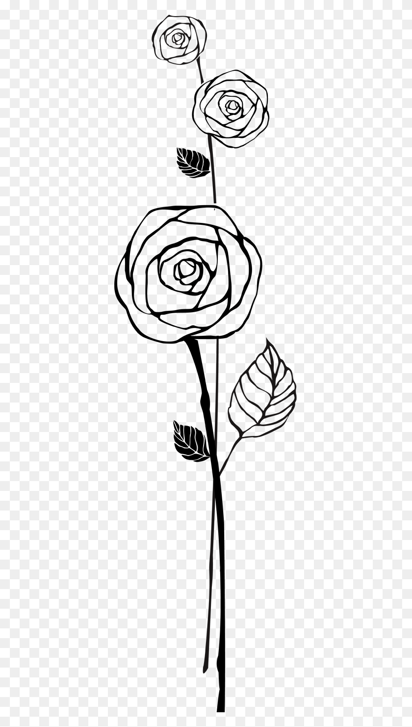 374x1421 Rose Outline, Person, Human HD PNG Download