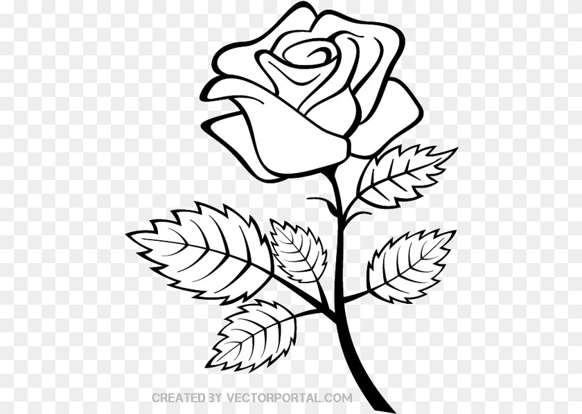 483x598 Rose Outline Clip Art Outline Of Rose Flower, Plant, Leaf Clipart PNG