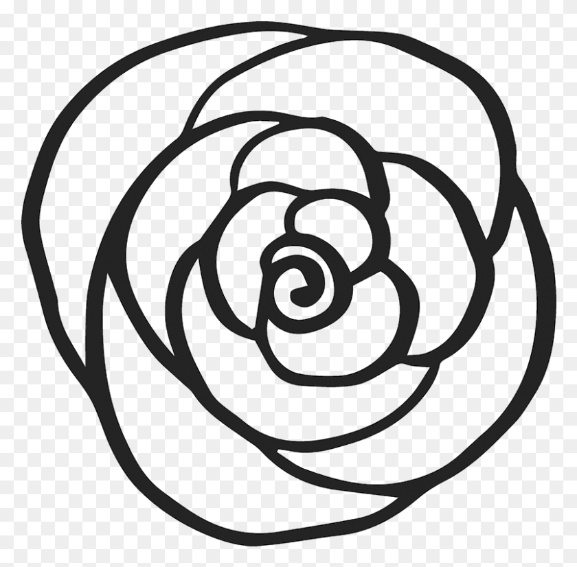 801x787 Rose Outline Rose Outline Rubber Stamp, Spiral, Coil, Flower HD PNG Download