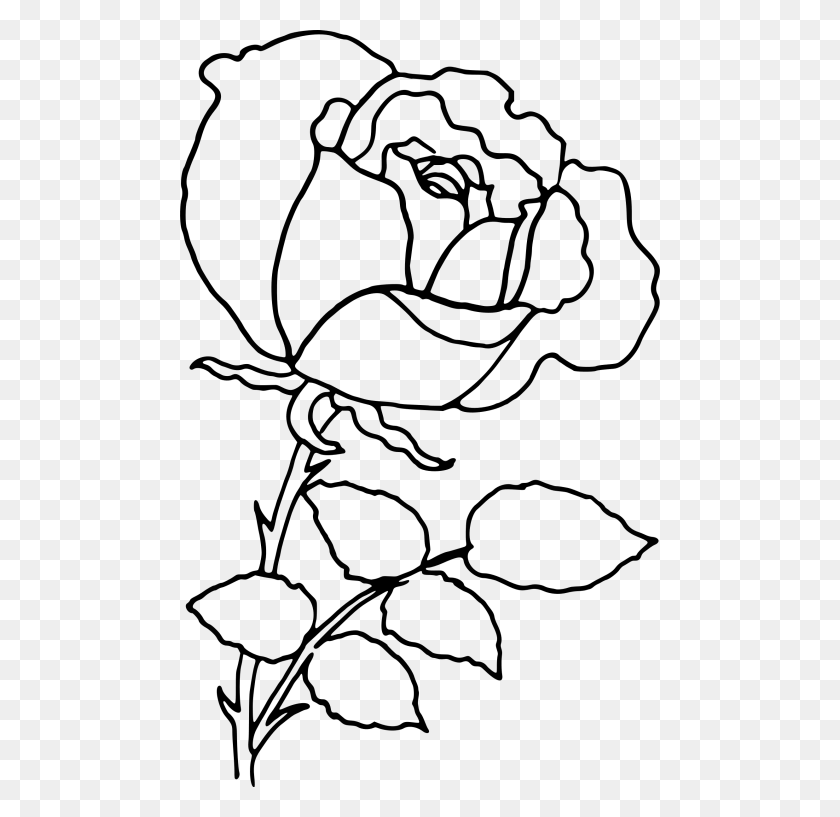 480x757 Rose Outline S Clipart Photo Rose Drawing, Gray, World Of Warcraft HD PNG Download