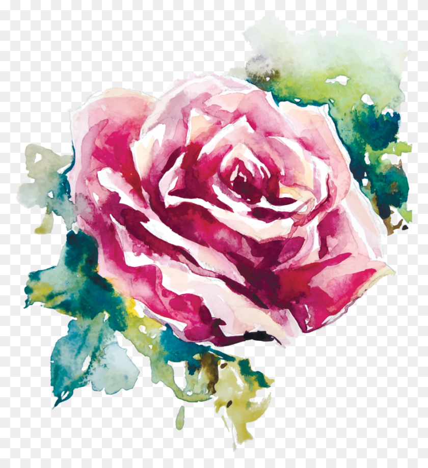 882x972 Роза Живопись Вектор, Цветок, Растение, Цветение Hd Png Скачать