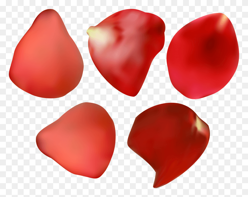 7882x6139 Rose Petal HD PNG Download