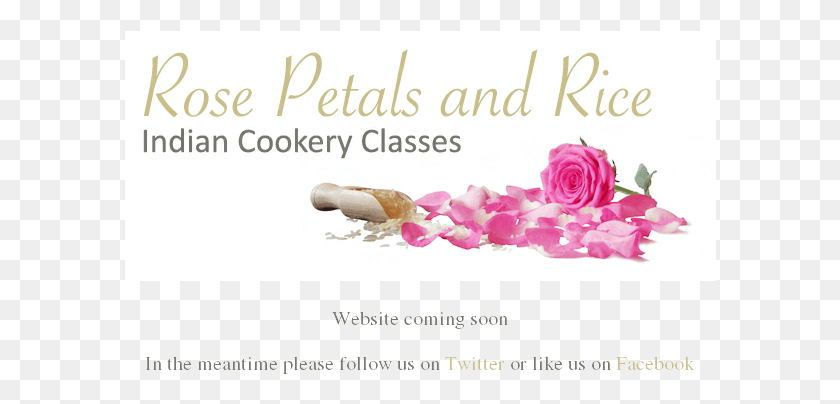 592x344 Rose Petals And Rice Competitors Revenue And Employees Poster, Petal, Flower, Plant HD PNG Download