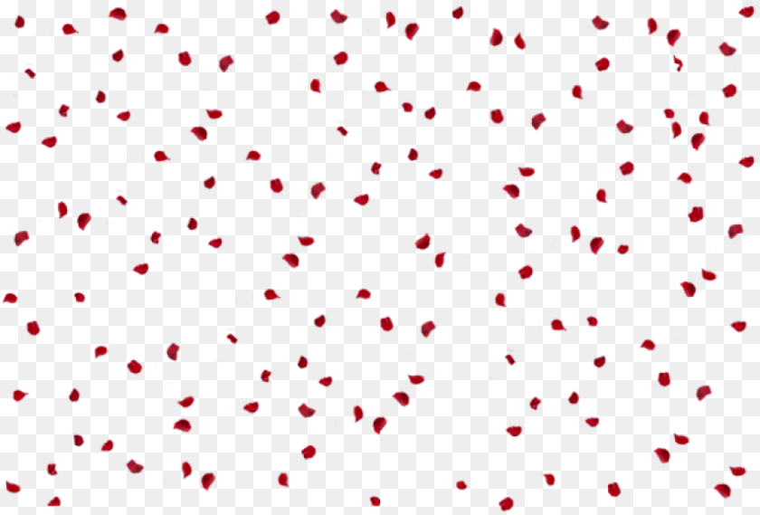 850x576 Rose Petals Effect Images Rose Effect, Flower, Paper, Petal, Plant Clipart PNG