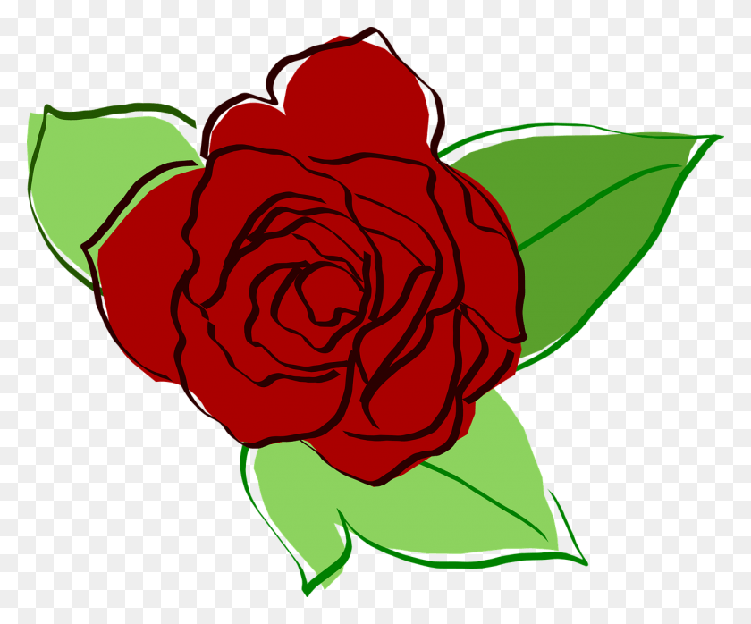 1280x1048 Rose Red Rose Flower Vetor Rosa Flor, Plant, Blossom, Petal HD PNG Download