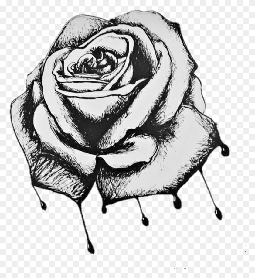 960x1053 Rose Roses Draw Drawing Blackandwhite Bleeding Roses Drawing, Person HD PNG Download