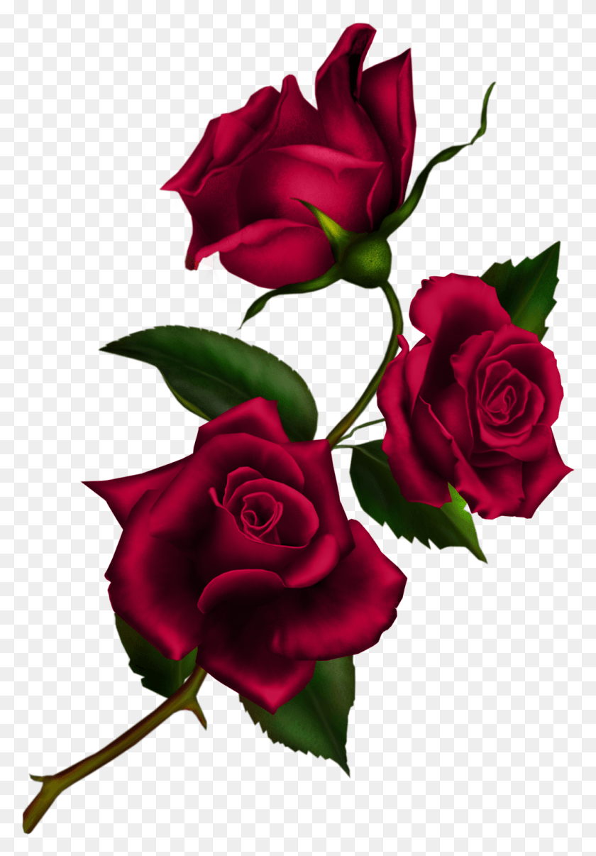 1025x1506 Тату Стебель Розы Татуировки Цветов Татуировки Роз