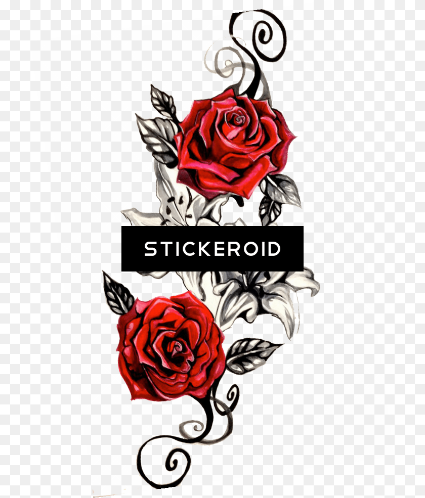 719x985 Rose Tattoo, Art, Flower, Graphics, Plant Clipart PNG