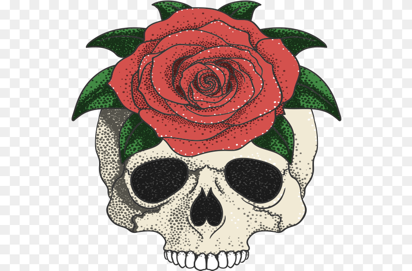 551x554 Rose Tattoo Rose Tattoo Flower, Plant, Pattern, Art Transparent PNG