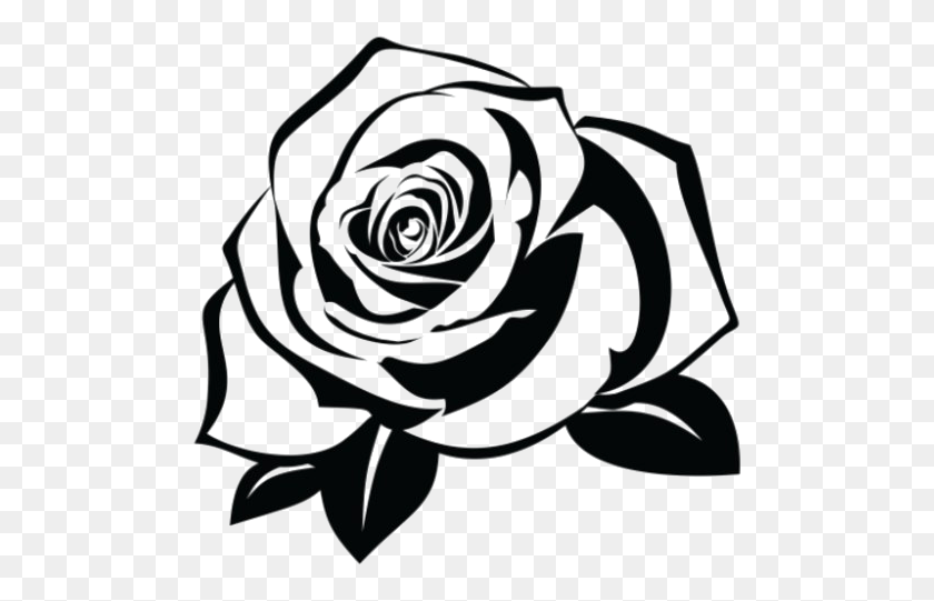 497x481 Rose Tattoo Pic Rose Stencil, Spiral, Flower, Plant HD PNG Download