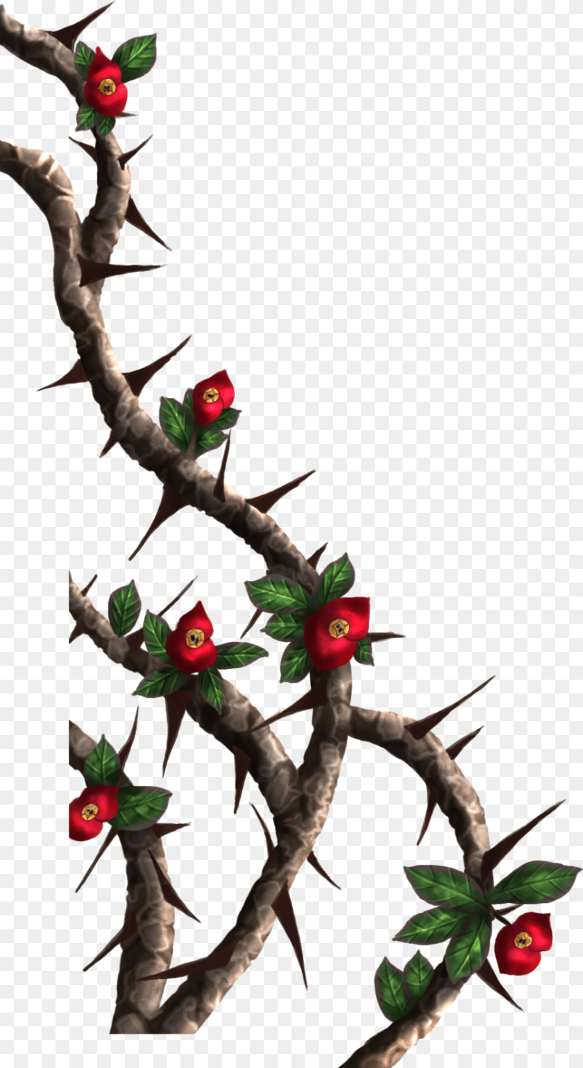 Rose Thorns Tree, Sprout, Plant, Ikebana PNG