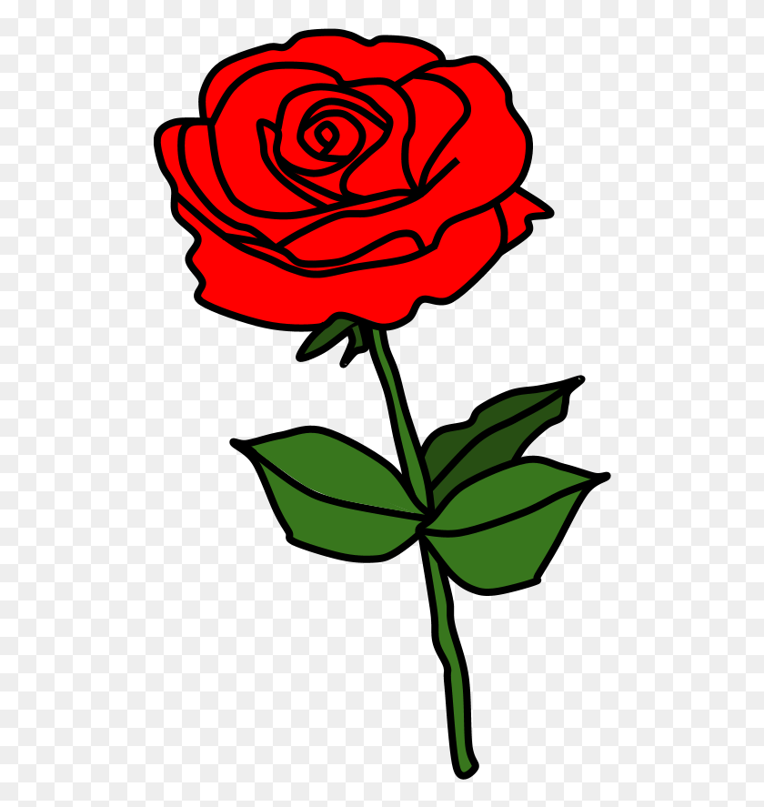 504x827 Розовые Шипы Красная Флорибунда, Цветок, Растение, Цветение Hd Png Скачать