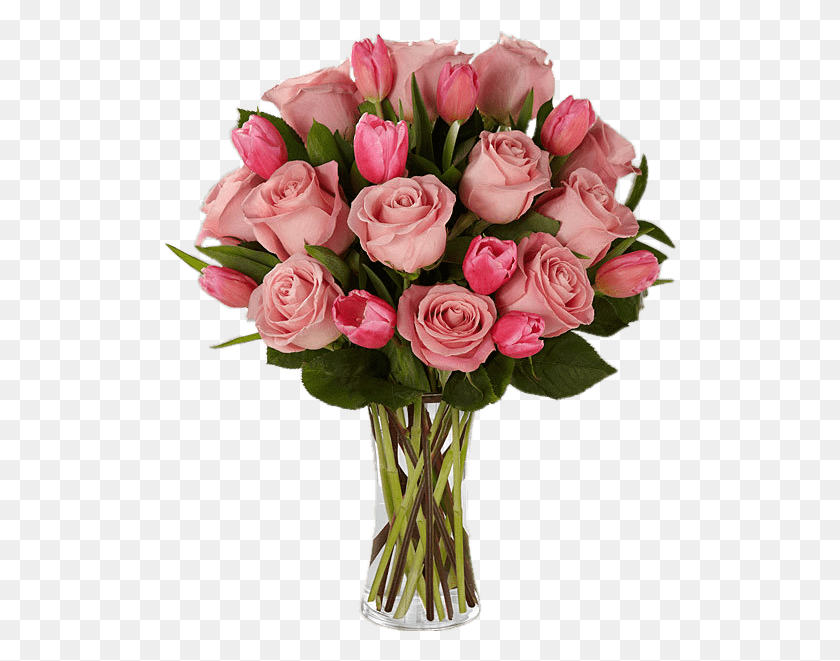 515x601 Rose Transparent Images Free, Plant, Flower, Blossom HD PNG Download