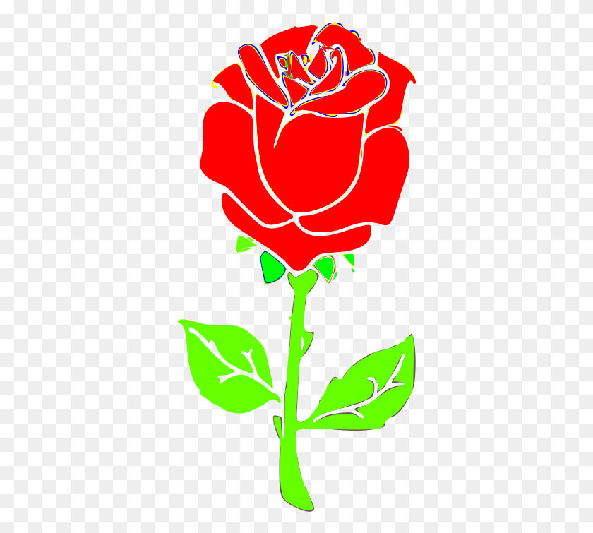 338x695 Роза Вектор, Цветок, Растение, Цветение Hd Png Скачать