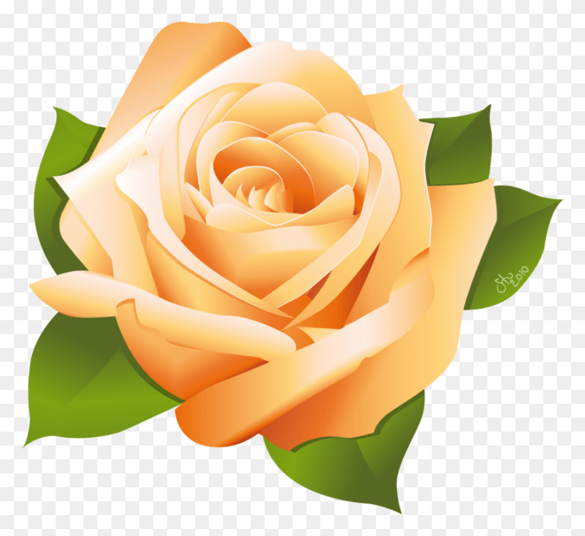 871x793 Rose Vector By Stoobainbridge Yellow Rose Vector, Flower, Plant, Blossom HD PNG Download